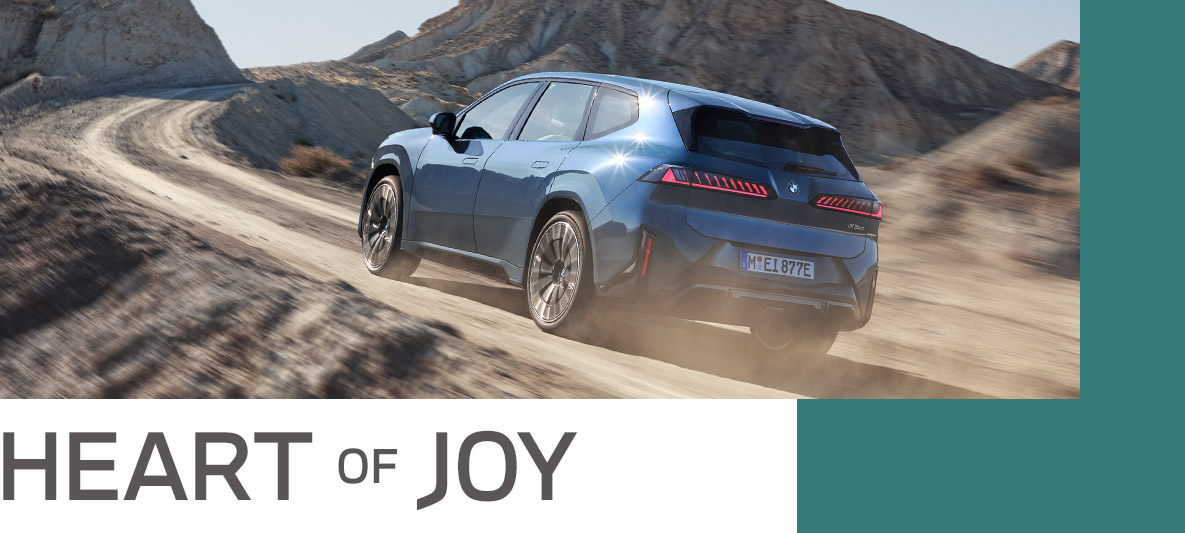 HEART OF JOY